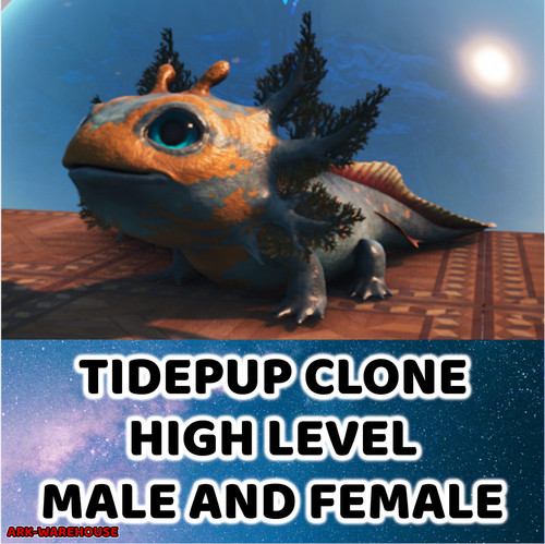 New tidepup clone level - -,