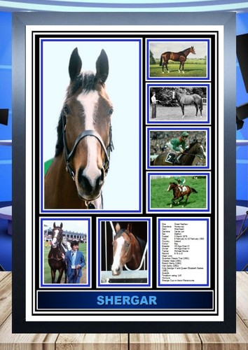 538 shergar horse - , a4