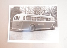 Bus Coach Commercial Publicity B&W Photo (8"x6") Ribble SD