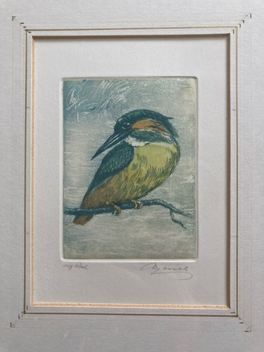 Vintage etching kingfisher - etching,