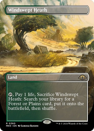 Windswept heath - windswept,