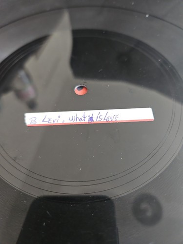 Barrington levy you come to - levy.,