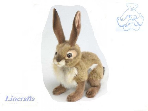 Hansa jack rabbit hare - hansa, 3584