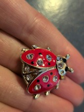 Ladybird Ladybug Nature Brooch