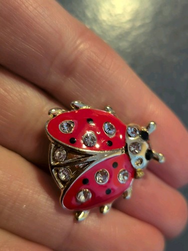 Ladybird ladybug nature brooch - nature,