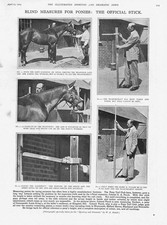 HORSE RACING Turf Club