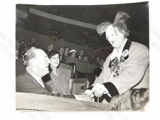 Coco Clown Duke Beaufort