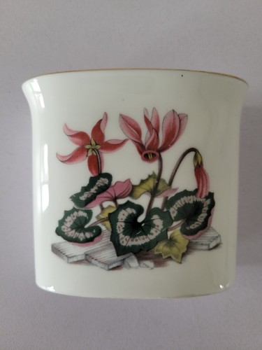 Royal worcester fine bone - worcester,