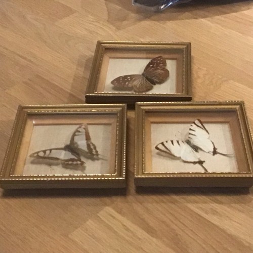 Set vintage framed - set,