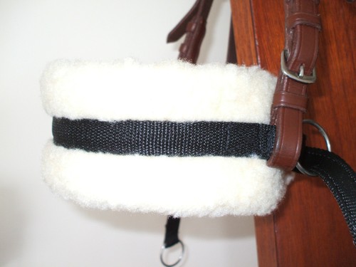Bitless bridle attachment