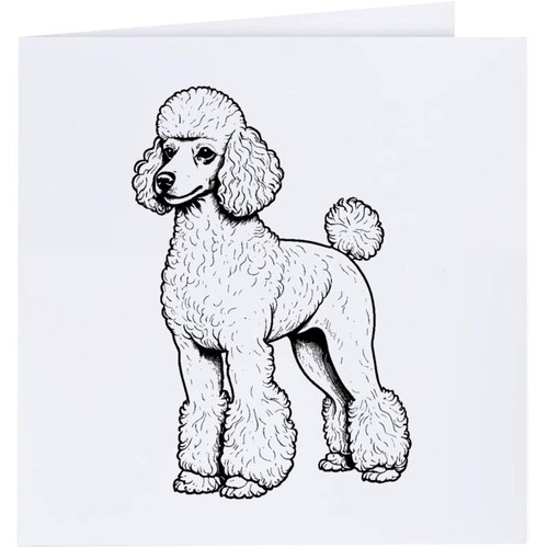 Standard poodle greeting - 'standard, /