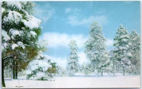 Postcard midwinter snow - postcard,