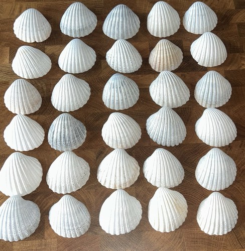 Arts crafts natural ribbed - natural,
