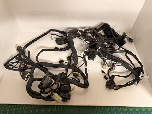 Ducati 959 panigale wiring - ducati,