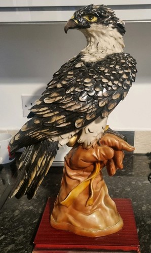Life size eagle falcon bird - eagle,