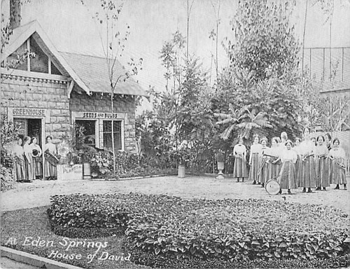 Eden springs house david - springs,
