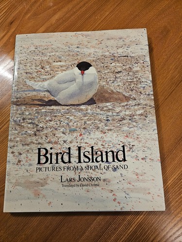 Bird island pictures - bird,