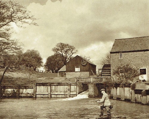 Trout fishing tennyson brook - fishing,