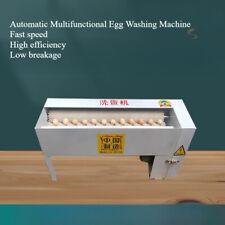 Automatic Small Commercial Egg