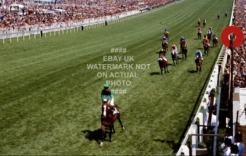 Shergar walter swinburn - shergar,