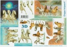 Horse, Pony, Donkey,  - Le