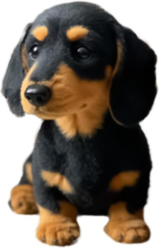 Dachshund plush toy sausage - dachshund,