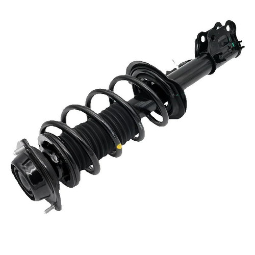 Front shock absorber - front,
