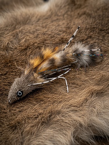 Mouse catcher trout - x3, “mouse