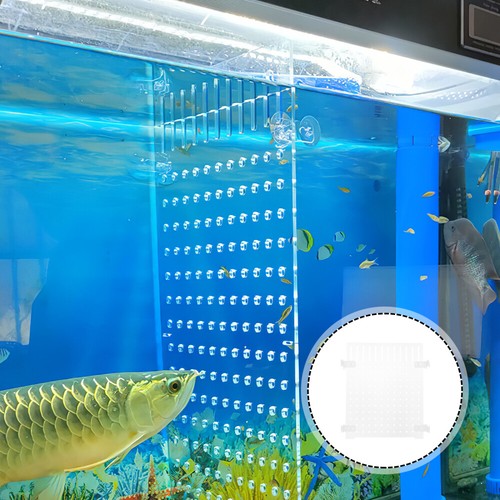 Fish tank divider acrylic - tank,