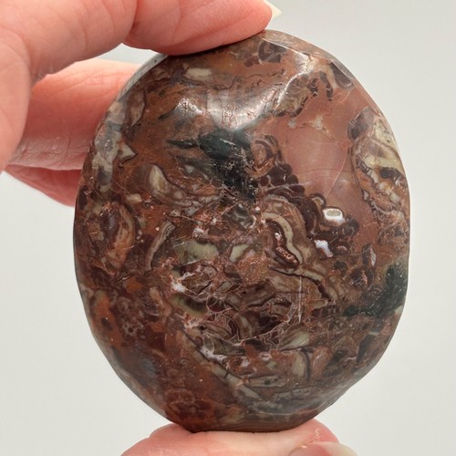 Money agate palm stone - agate,