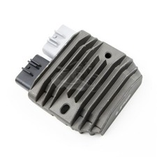 Fit for Triumph Speed Triple