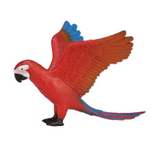 Mojo PARROT MACAW BIRD pet