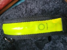Hi Viz Light Up Fog Collar