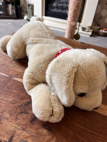 Large plush labrador puppy dog - plush,