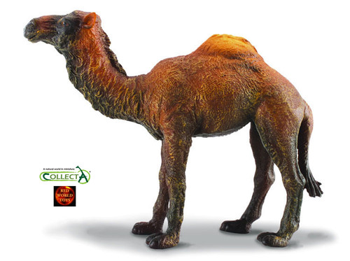 Dromedary camel wildlife - wildlife, toy