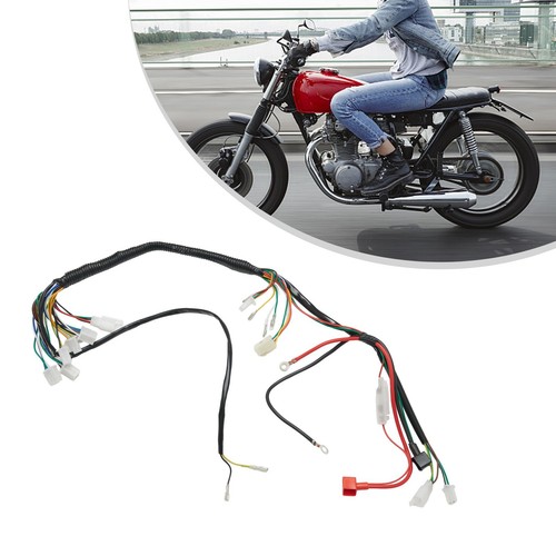 Quad wire harness - quad, replacement