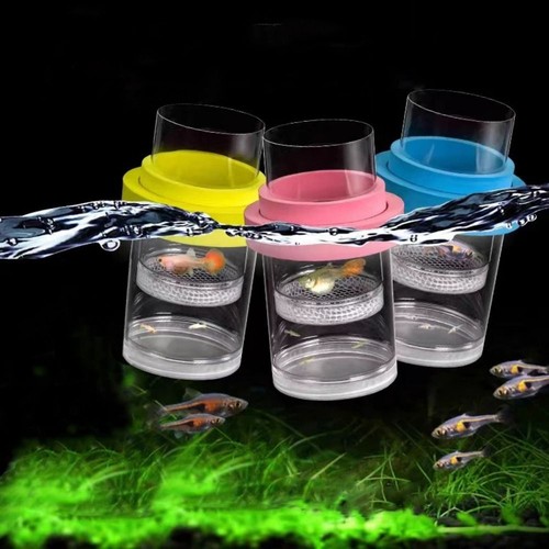 Small plastic floating fish - plastic,