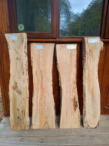 Cedar lebanon air dried - of,