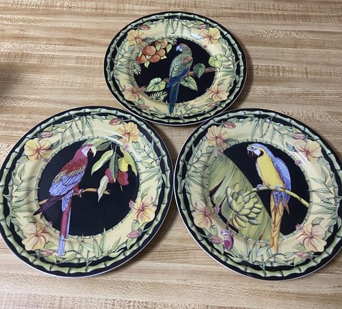 Lot andrea sadek macaw - by,