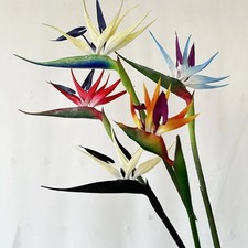 Bird of Paradise Artificial