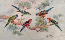 Vintage Bird Watercolour