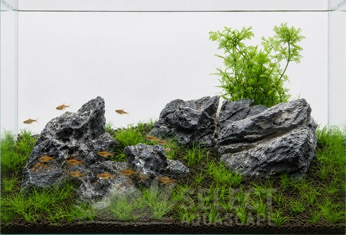 Seiryu stone aquarium rock - seiryu,