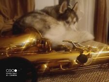 Saxophone Bb Tenor - Gold Finish Intermusic Sax & Hard Case - Full Outfit  