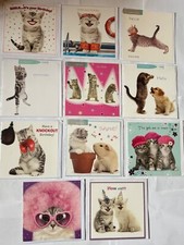 Tabby Cat Kitten birthday