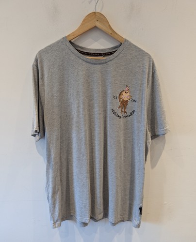 Friends holiday armadillo - friends,
