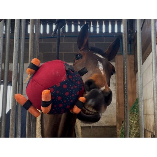 Ruggles horse treat toy - treat,