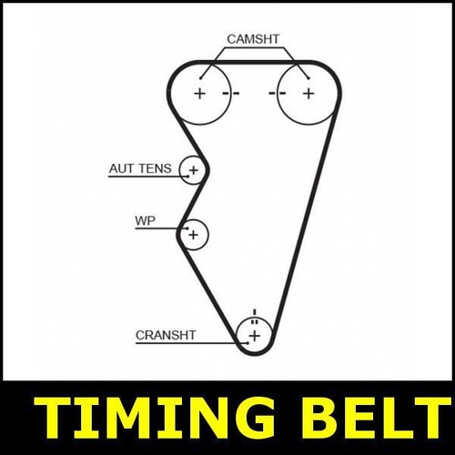 Timing belt cam fits - timing,