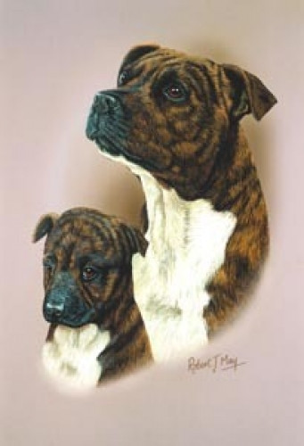 Robert may head study - may,