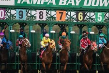 The check and win horse - horse, racing
