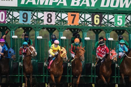 The check and - and, horse